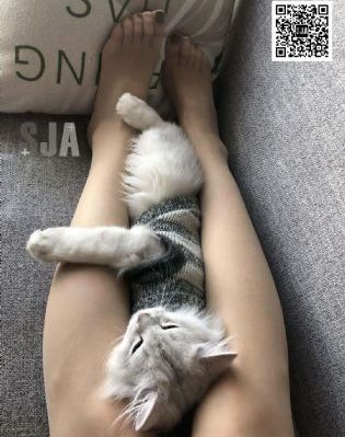 贪婪韩国