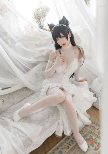 777免费观看电视剧狂飙