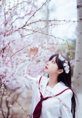 恰同学少年在线观看免费完整版